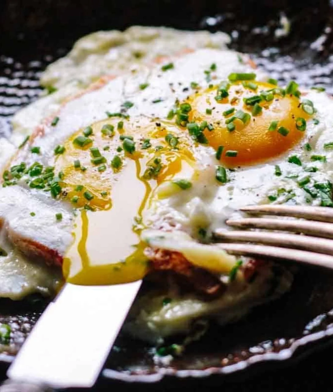 French baked eggs on toast served with fresh herbs and spices