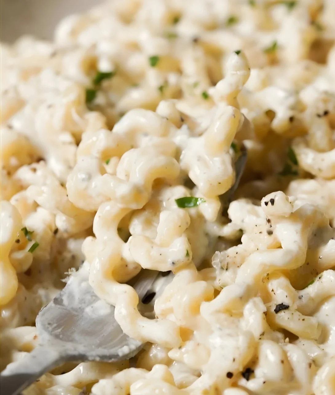 Creamy Cottage Cheese Alfredo sauce served over pasta