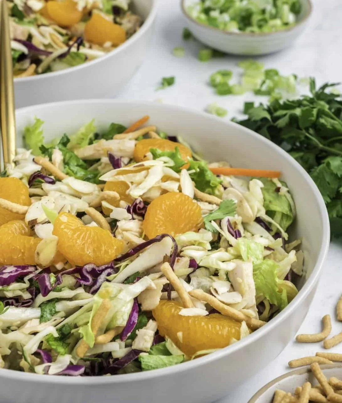 Asian Chicken Salad with Ginger Dressing showcasing fresh ingredients and vibrant colors.