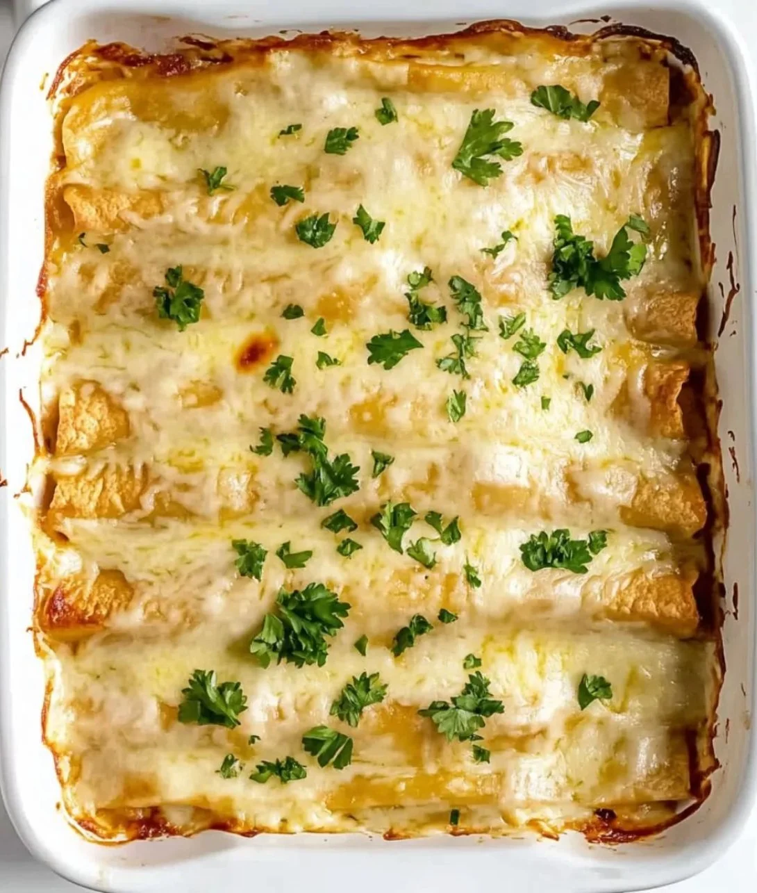 Delicious creamy white chicken enchiladas garnished with cilantro and cheese