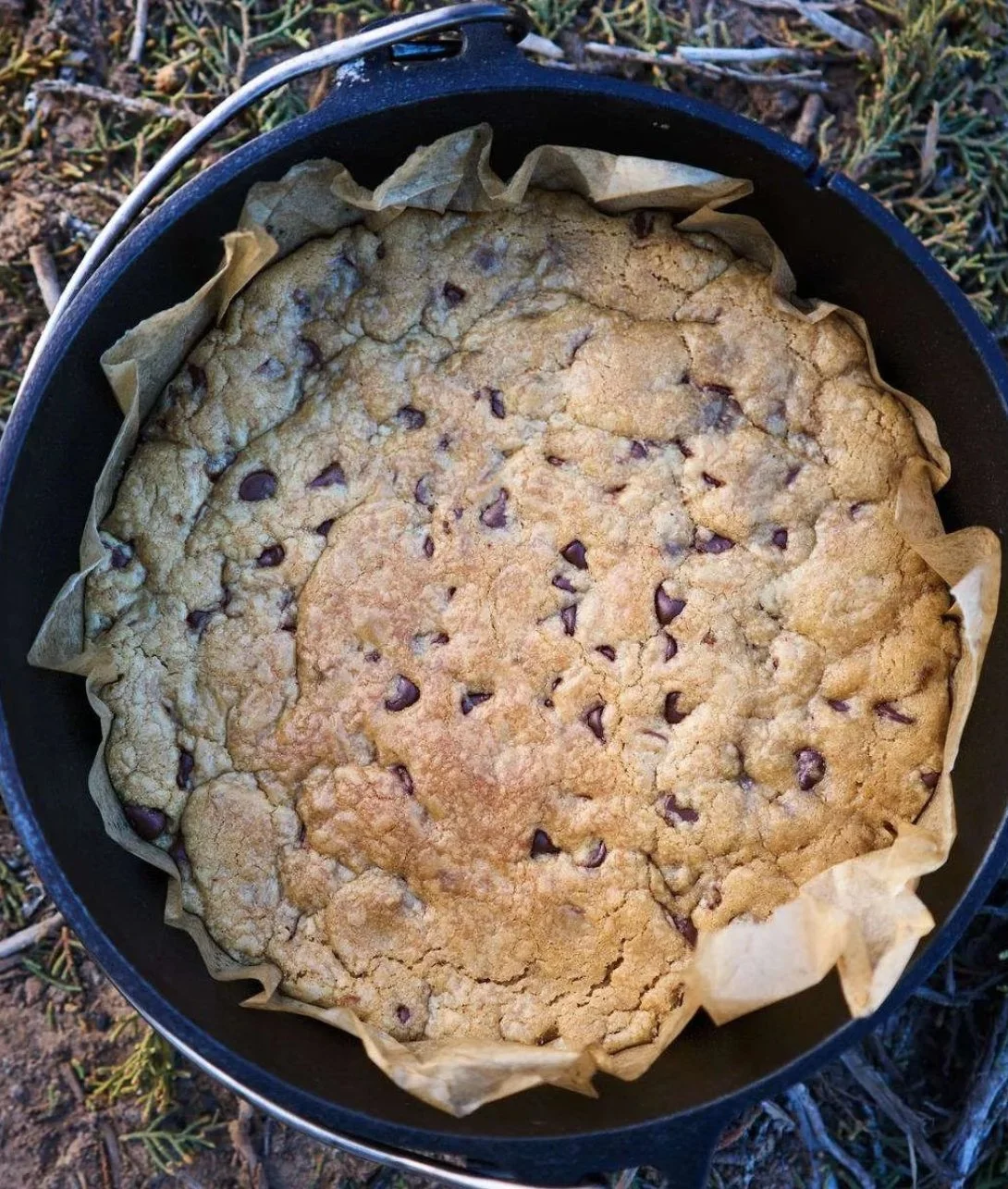 Delicious Dutch Oven Chocolate Chip Cookie Bars served with chocolate chips on top