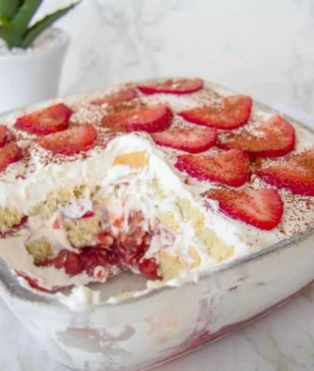 Delicious Keto Strawberry Tiramisu dessert with strawberries and creamy filling.
