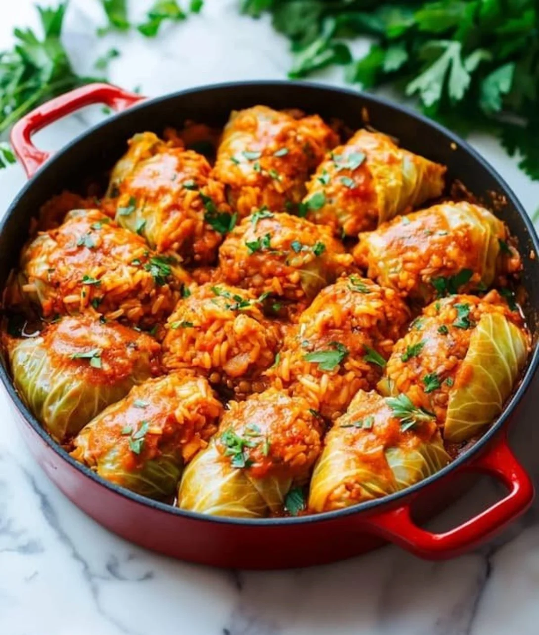 Lentil and rice stuffed cabbage rolls served on a plate