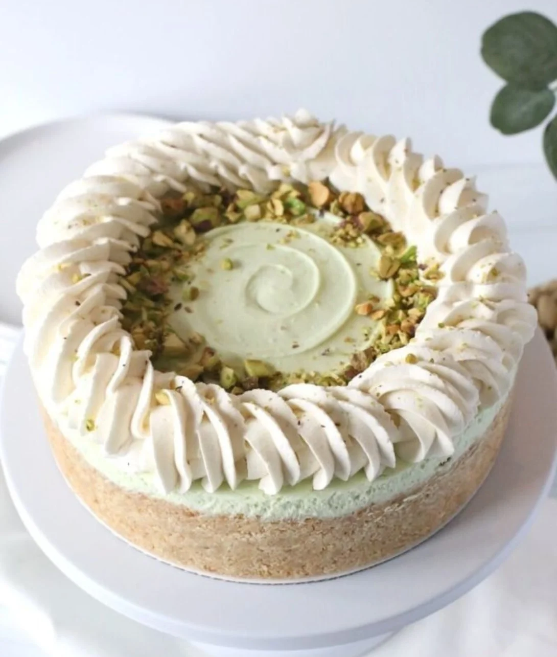 No bake pistachio cheesecake topped with crushed pistachios.