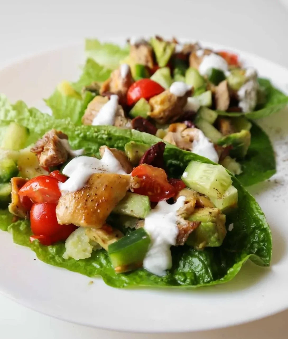 Healthy chicken lettuce wraps with fresh herbs and vegetables
