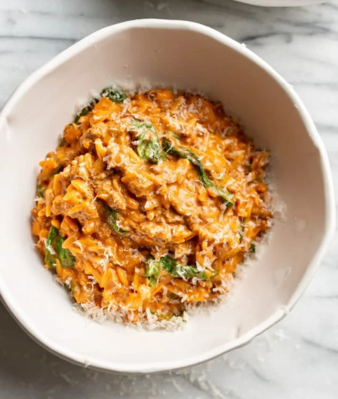 Ground Beef Orzo with Tomato Cream Sauce in a bowl