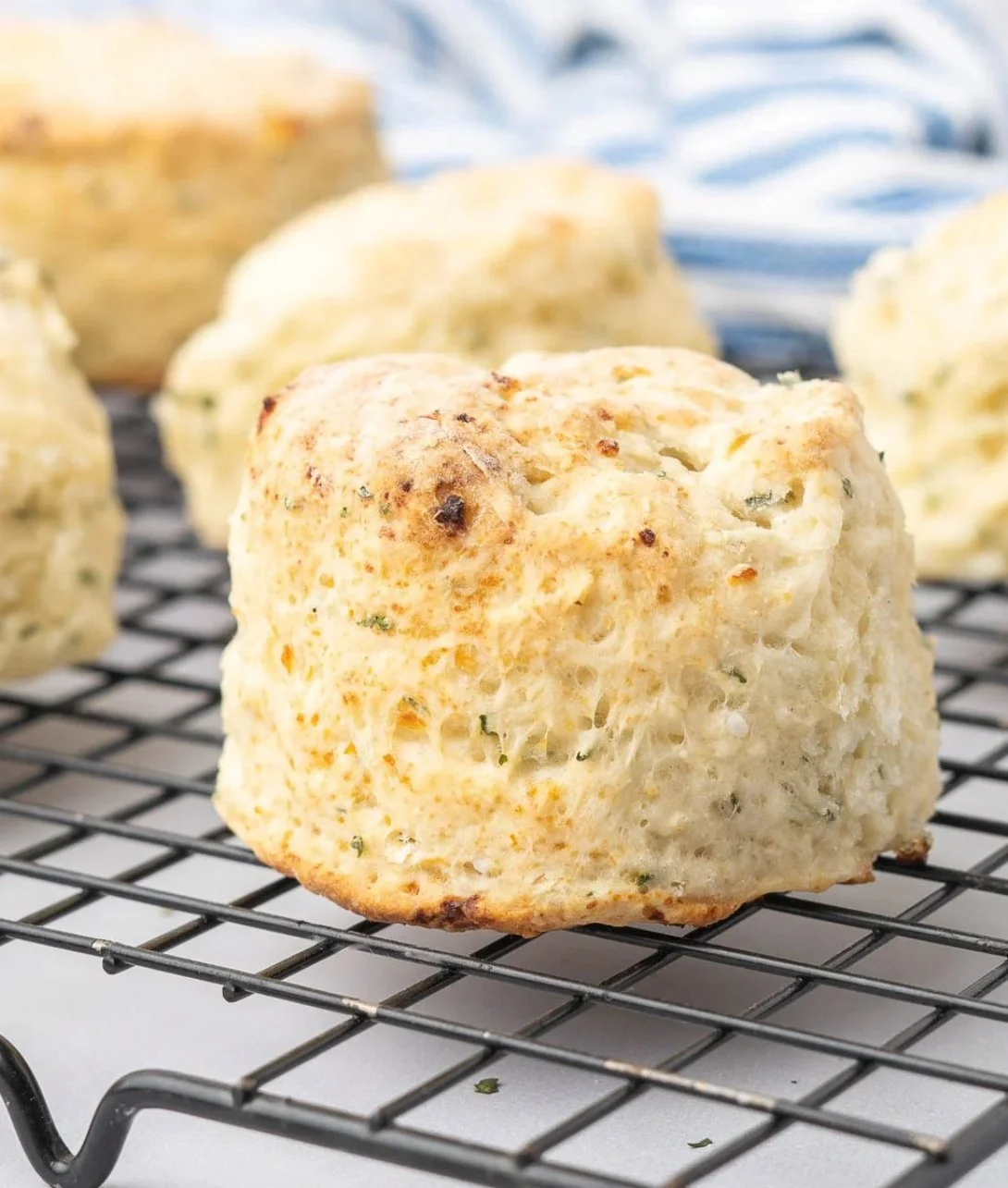 Flaky herbed cottage cheese biscuits fresh out of the oven